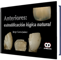 Producto Anteriores: Estratificación Lógica Natural de Autor del año 2017 ISBN 9789585426313