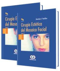 Producto Cirugía Estética del Mosaico Facial de Autor del año 2009 ISBN 97895883286843