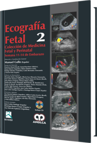 Producto Ecografía Fetal Semana 11-14 de embarazo / Vol.2 de Autor del año 2010 ISBN 9789588473543