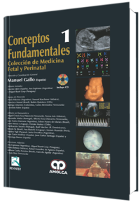Producto Conceptos fundamentales / Vol.1 de Autor del año 2011 ISBN 9789588473901