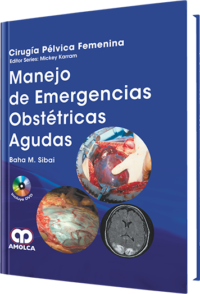 Producto Manejo de Emergencias Obstétricas Agudas de  del año  ISBN 9789588760056