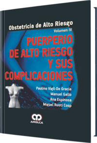 Producto Puerperio de Alto Riesgo y sus Complicaciones / Vol.4 de del año ISBN 9789588760322