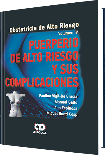 Producto Puerperio de Alto Riesgo y sus Complicaciones / Vol.4 de  del año  ISBN 9789588760322