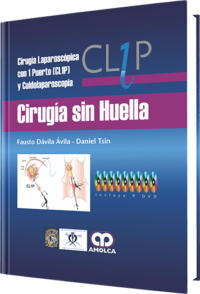 Producto irugía sin Huella de Autor del año 2014 ISBN 9789588816159