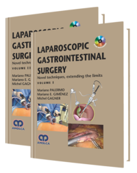 Producto Laparoscopic Gastrointestinal Surgery de Autor del año 2015 ISBN 9789588816678