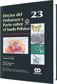 Producto Efectos del Embarazo y Parto sobre el Suelo Pélvico / Vol.23 de Autor del año 2015 ISBN 9789588871233