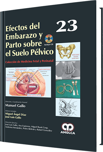 Producto Efectos del Embarazo y Parto sobre el Suelo Pélvico / Vol.23 de Autor del año 2015 ISBN 9789588871233