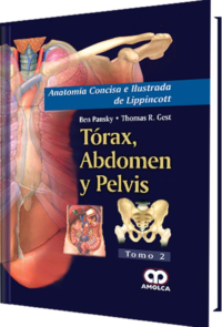 Producto Anatomía Concisa e Ilustrada de Lippincott Tomo 2: Tórax