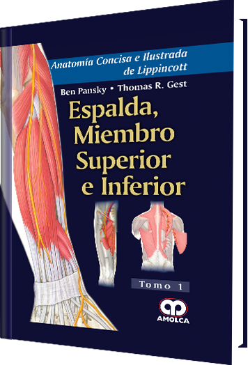 Producto Anatomía Concisa e Ilustrada de Lippincott Tomo 1: Espalda