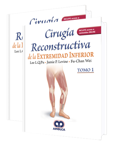 Producto Cirugía reconstructiva de la extremidad inferior de Autor del año 2019 ISBN 9789804300073