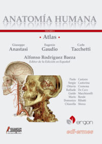 Libro Atlas de Anatomía Humana Volumen 2. Cabeza y Cuello