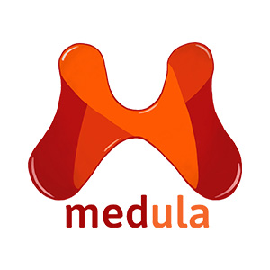 logo medula