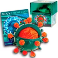 Modelo de Células Virus - JM IMPORT - Compra online en medsuq.cl
