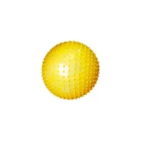 Pelota Masaje Erizo 65cms -  - Compra online en medsuq.cl