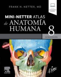 Mini netter atlas de anatomia humana octava edicion editorial elsevier