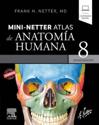 Mini netter atlas de anatomia humana octava edicion editorial elsevier
